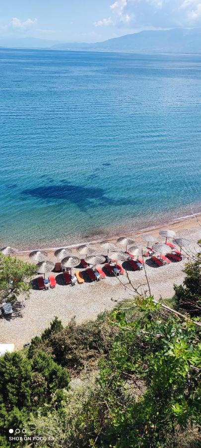 ניפורייקה Koralli Beach מראה חיצוני תמונה